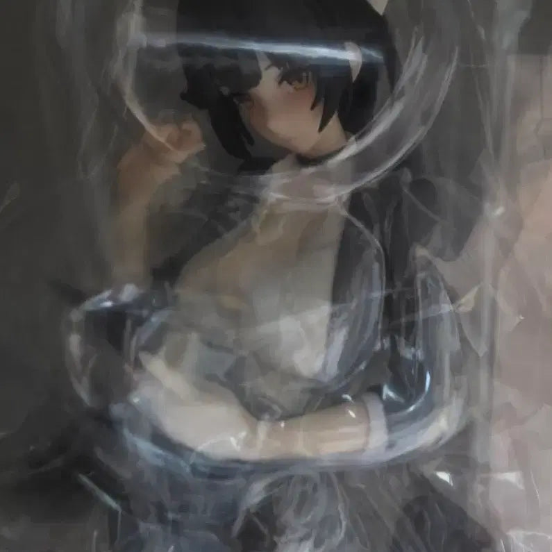 [BUNJANG] Azur Lane Takao OL Ver. Figure 1/6 Scale / 할인 벽람항로 타카오 OL .VER 피규어 1/6 스케일