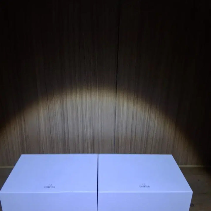 [BUNJANG] Omega Watch Case (2-Piece Set) / 오메가 시계보관함, 시계케이스 2개