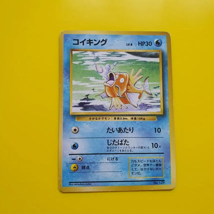 [BUNJANG] Pokemon Card 1996 Magikarp 1st Edition Japanese / 포켓몬카드 1996 잉어킹 1차한정초판 일판 일본판 1st  1ed