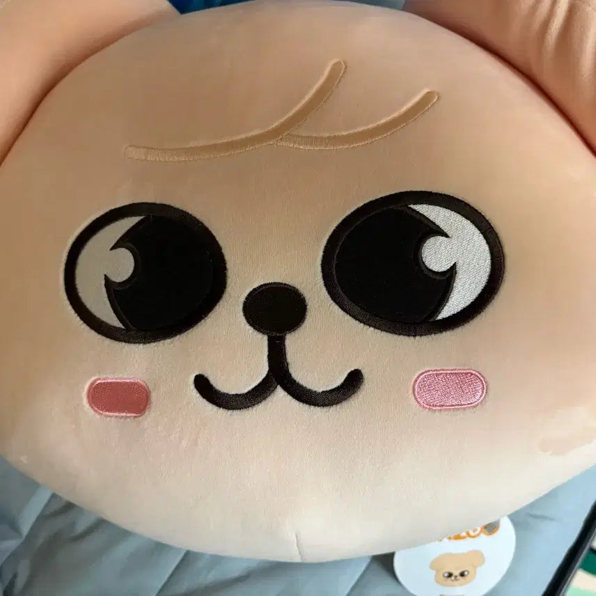 [BUNJANG] Stray Kids PERM BADGE Cushion / 스키즈 퍼핌 쿠션