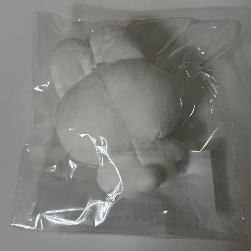 [BUNJANG] BOYNEXTDOOR Myungjaehyun Doll / 보넥도 인형 명끼 양도 합니다! 명재현 재현