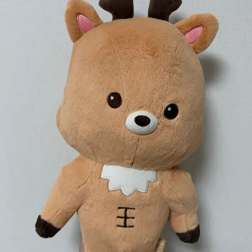 [BUNJANG] RIIZE Sungchan 40cm Plush Doll &