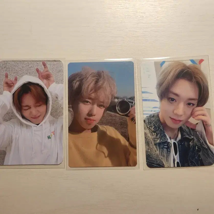 [BUNJANG] Park Jihoon Bundle Set Photocard / 박지훈 포토카드 일괄 판매