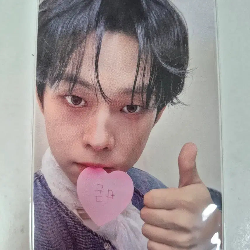 [BUNJANG] Lucy Choi Sangyeop Photocard / 루시 최상엽 포카 (굳)