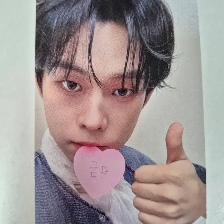 [BUNJANG] Lucy Choi Sangyeop Photocard / 루시 최상엽 포카 (굳)