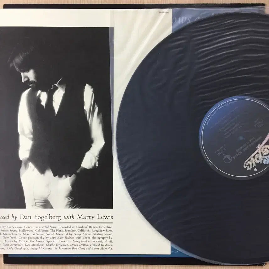 [BUNJANG] Dan Fogelberg Windows And Walls Import LP / (수입LP) Dan Fogelberg / Windows And Walls