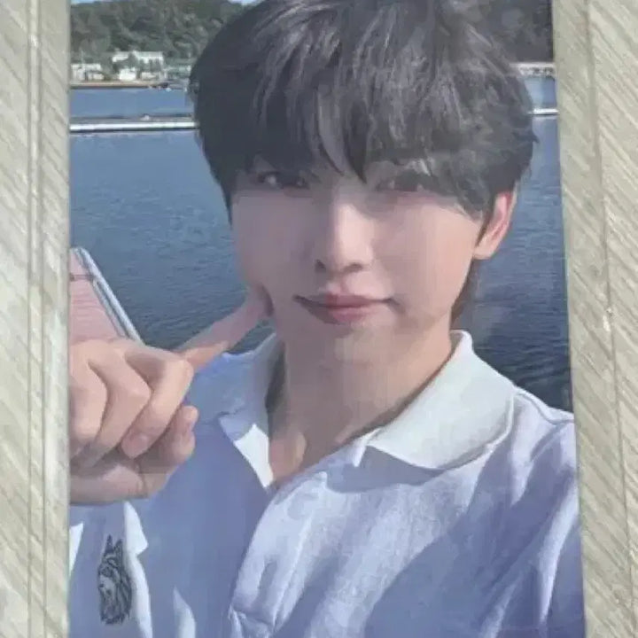 [BUNJANG] &amp;Team Aoarashi Weverse POB Fuma Photocard / 앤팀 &amp;team 아오아라시 위버스 특전 후마 포카 포토카드