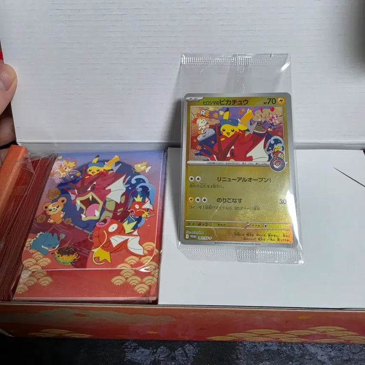 [BUNJANG] Hiroshima Special Box Full Set (Includes Cards) / 히로시마 스페셜 박스 풀세트(카드 포함)