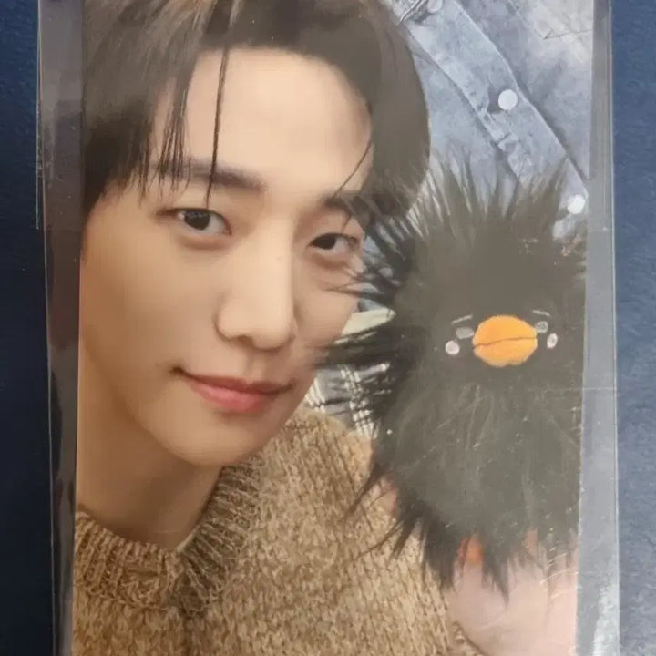 [BUNJANG] Lee Junho PpaengPpaeng Popup POB Photocard / 이준호 펭펭 팝업 구매특전 포카 1종