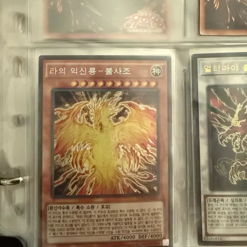 [BUNJANG] Winged Dragon of Ra - Immortal Phoenix MP01-KR001 Millennium Secret Rare / 라의익신룡-불사조 MP01-KR001 밀레니엄시크릿레어 1