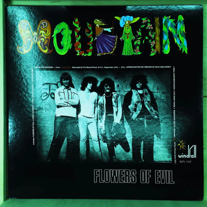 [BUNJANG] Mountain Flowers of Evil 1972 Japanese LP / Mountain Flowers Of Evil 일본 1972년 LP