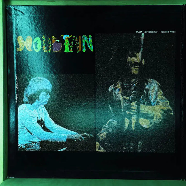 [BUNJANG] Mountain Flowers of Evil 1972 Japanese LP / Mountain Flowers Of Evil 일본 1972년 LP