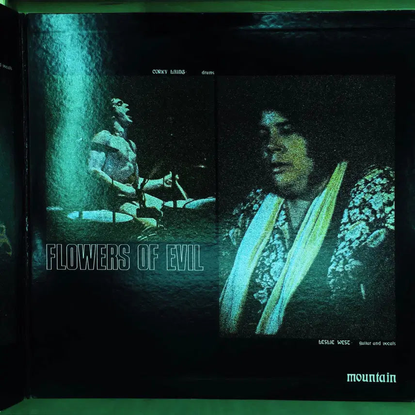 [BUNJANG] Mountain Flowers of Evil 1972 Japanese LP / Mountain Flowers Of Evil 일본 1972년 LP