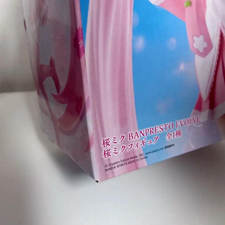 [BUNJANG] Sakura Miku Banpresto EVOLVE Figure (Sealed) / 사쿠라 미쿠 반프레스토 EVOLVE 피규어 미개봉