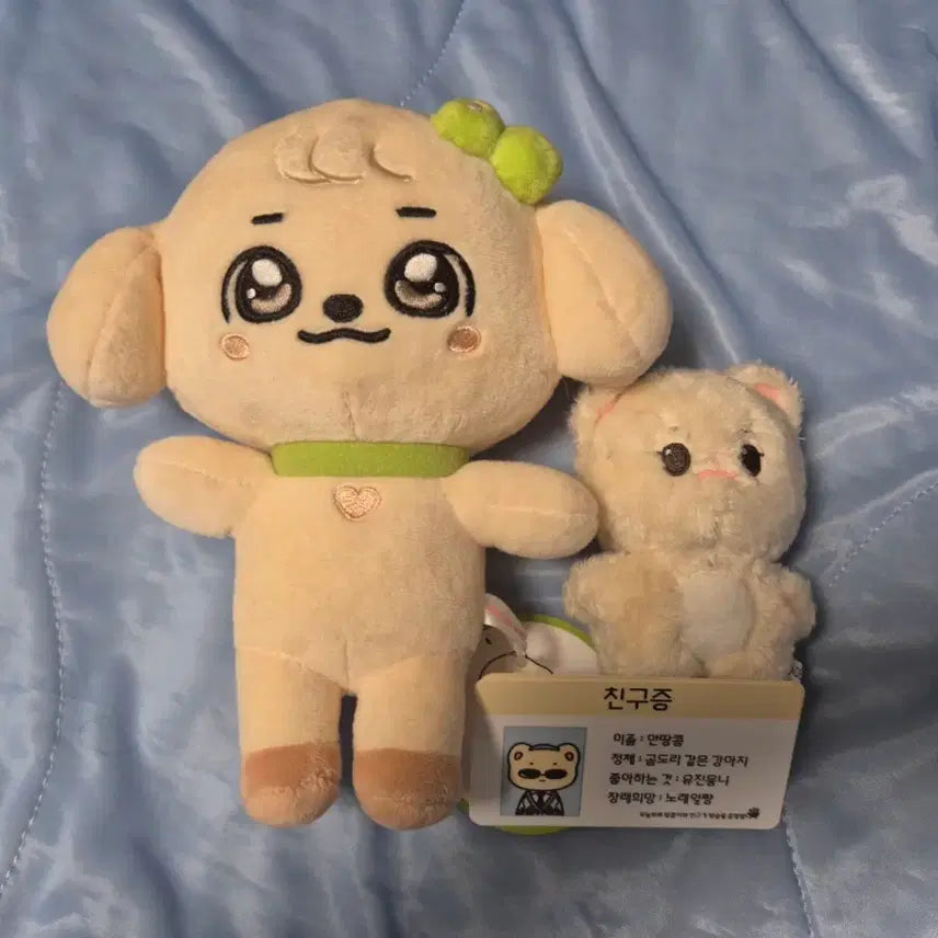 [BUNJANG] Minive Gangganji + Antangkong Bundle Set / 미니브 강안지+안땅콩 일괄