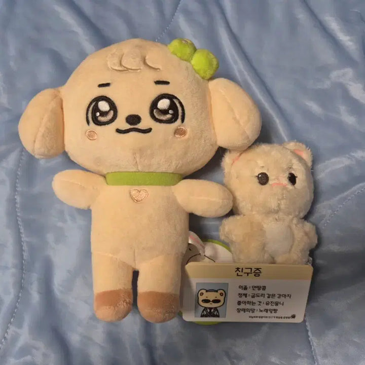 [BUNJANG] Minive Gangganji + Antangkong Bundle Set / 미니브 강안지+안땅콩 일괄