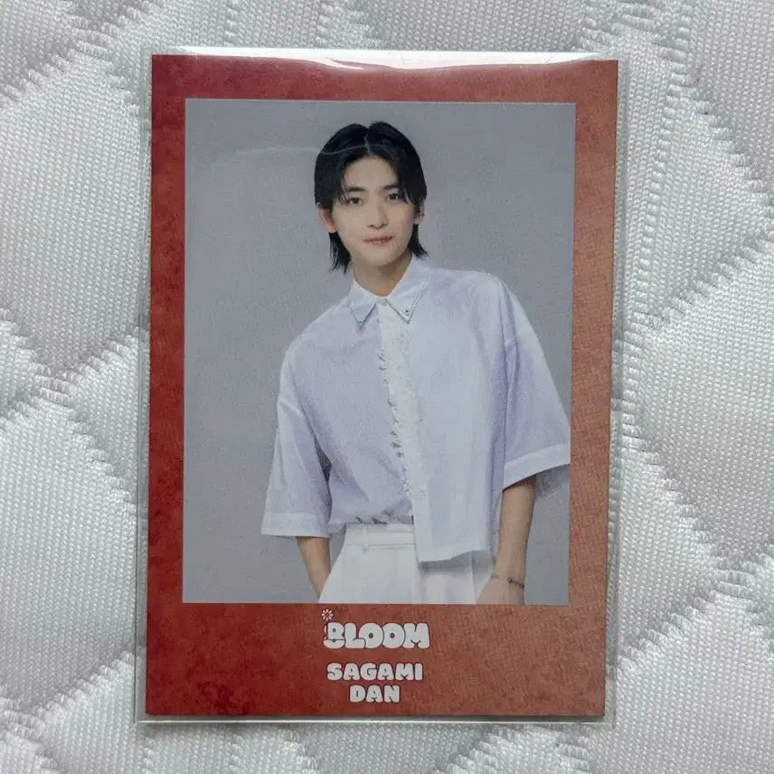 [BUNJANG] Takahashi Fumiya Kimi Hana Japanese Actor Photocard / 타카하시 후미야 키미하나 너의 꽃이 될래 사가미단 일본 배우 포토카드