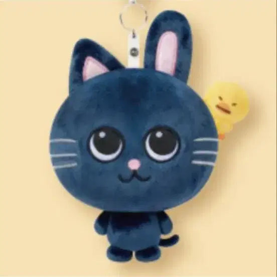 [BUNJANG] RIIZE Wonbin TONYNGDEOK Coin Purse Boss RIIZE / 라이즈 원빈 토냥덕 동전지갑 보스라이즈