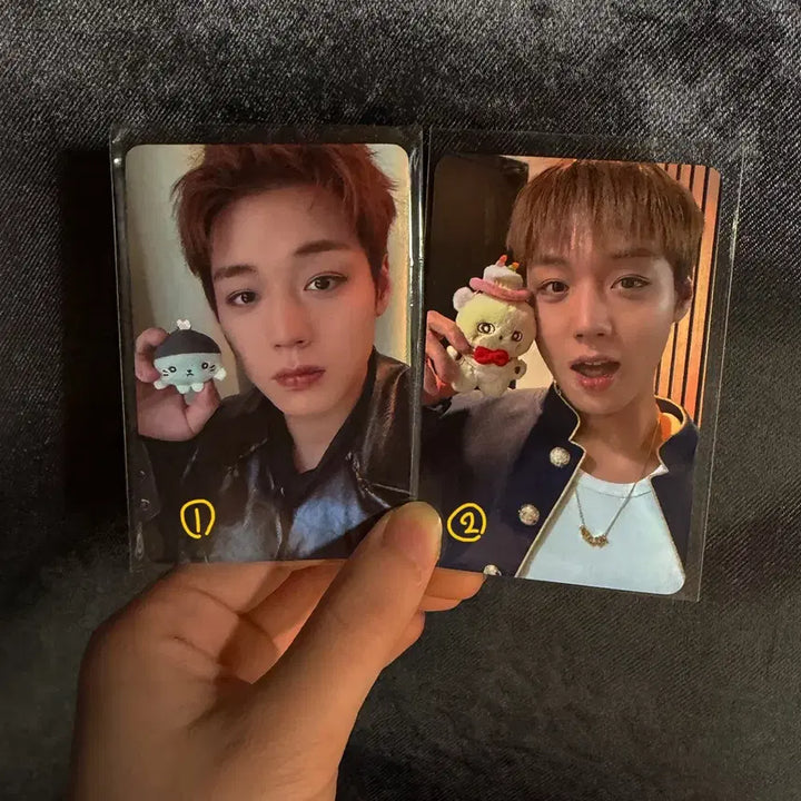 [BUNJANG] Park Ji Hoon Photocard / 박지훈 포카
