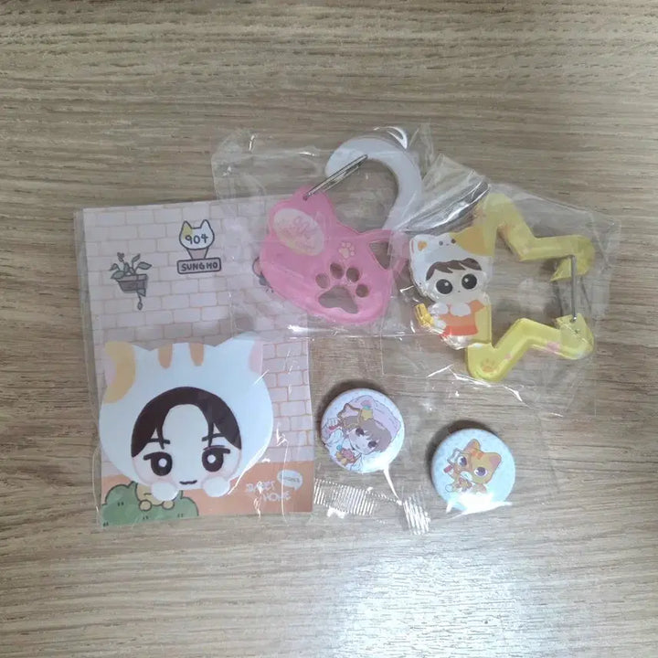 [BUNJANG] Boynextdoor Sung Ho Merchandise Bundle / 보넥도 성호 굿즈 대량 처분 보이넥스트도어 생카 캣삐 비공굿 양도