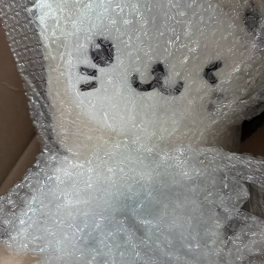 [BUNJANG] NCT WISH Bubble Cat 30cm Doll (Sealed) / 엔시티 위시 버블냥 30cm ( 미개봉)