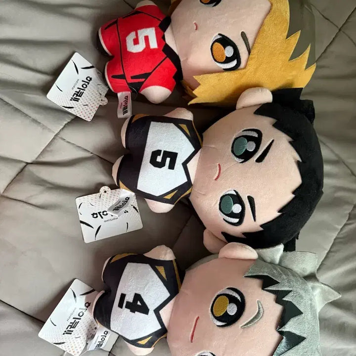 [BUNJANG] Haikyu!! Kenma Bokuto Akaashi Plush Doll Bundle Set / (키링아님 손바닥 두개만한 크기) 하이큐 인형 켄마 보쿠토 아카아시 일괄
