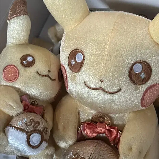 [BUNJANG] Pokemon 30th Anniversary Pikachu Plush &amp; Keychain Set / 성수팝업 포켓몬 30주년 봉제 피카츄 인형 &amp; 키링