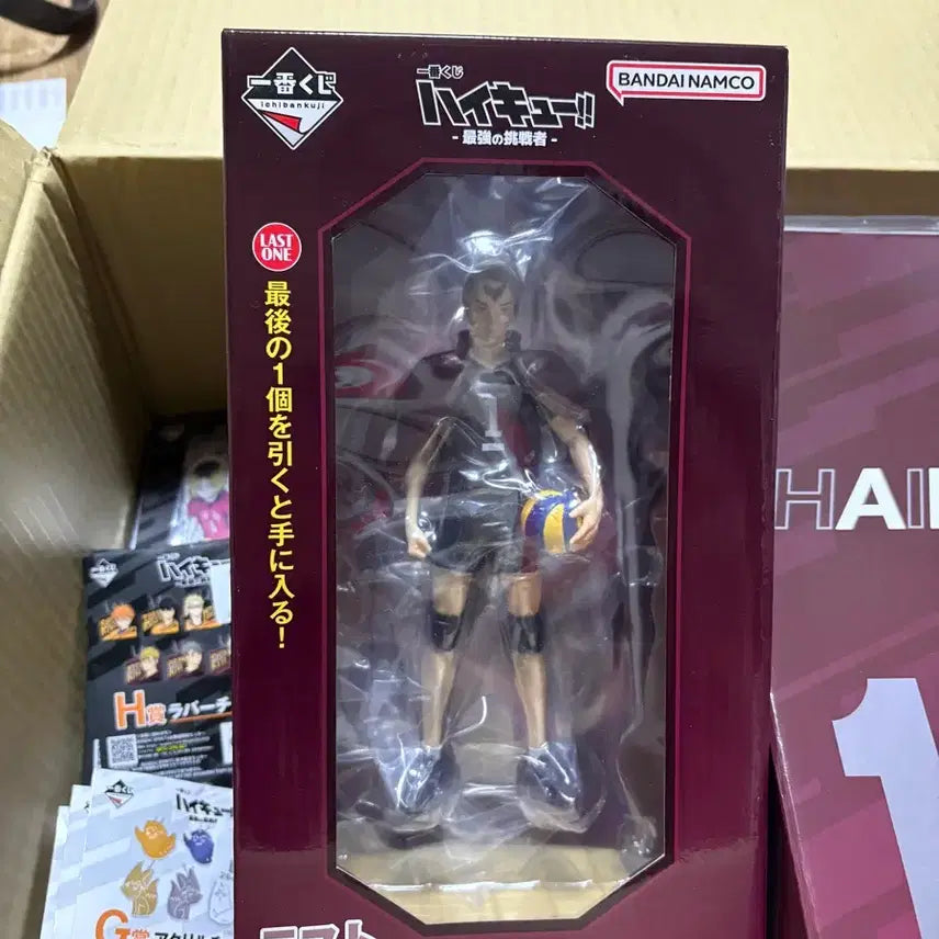 [BUNJANG] Haikyuu!! Shinsuke Kita Last One Prize Figure (Sealed) / 미개봉) 하이큐 키타 신스케 피규어 라스트원상