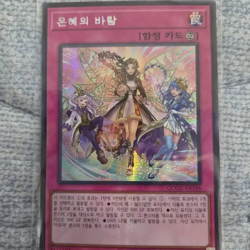 [BUNJANG] Yu-Gi-Oh! Graceful Charity Secret Rare / (유희왕) 은혜의 바람 (시크)