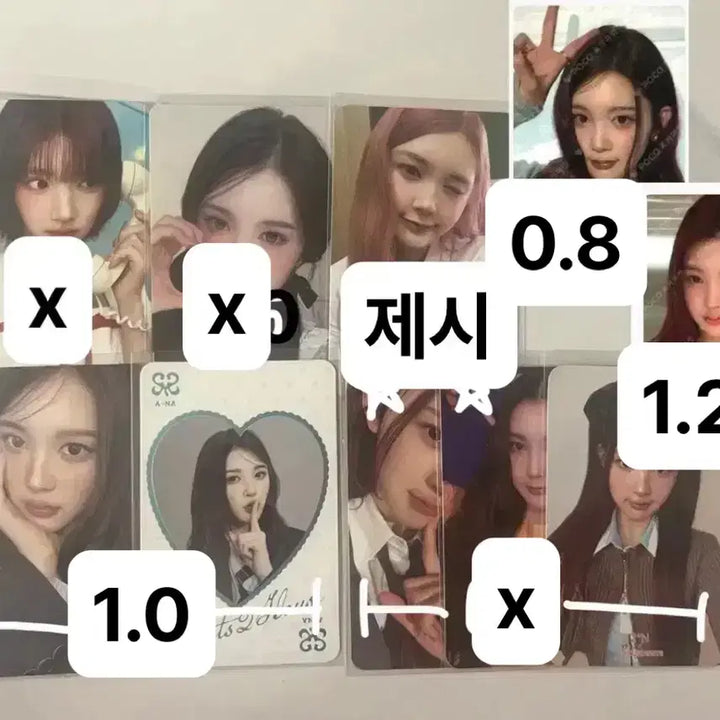 [BUNJANG] HATOOHATOO JIU Photocard / 하투하 하츠투하츠 포카 양도 판매 지우 에이나 가이드북 상하이 기프트박스