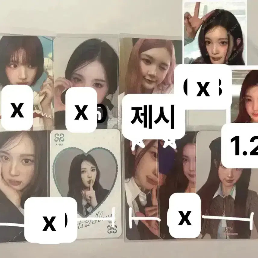 [BUNJANG] HATOOHATOO JIU Photocard / 하투하 하츠투하츠 포카 양도 판매 지우 에이나 가이드북 상하이 기프트박스