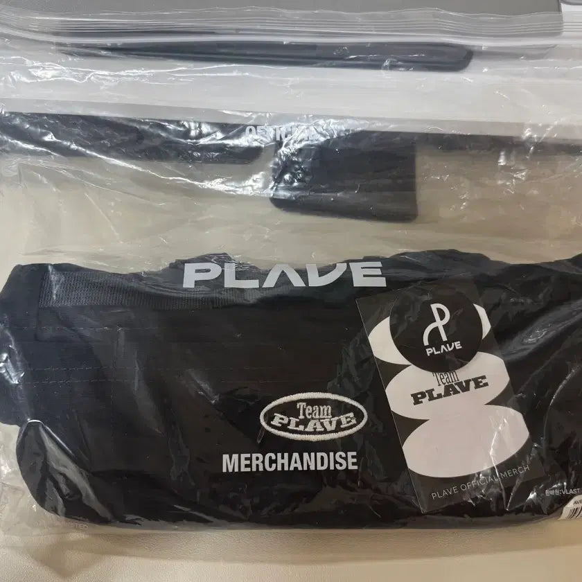 [BUNJANG] PLAVE Lightstick Bag / 플레이브 응원봉 가방 (포카x)