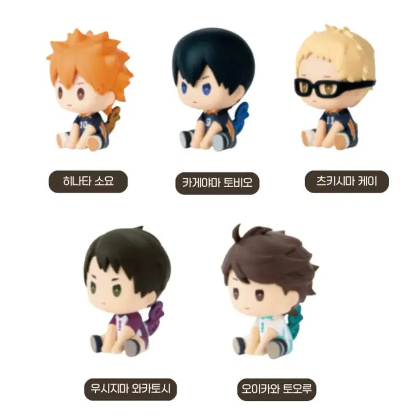 [BUNJANG] Bushiroad Haikyu!! Fytto Nejimaki Springy Mascot Figure Vol. 01 Complete Set / 부시로드 하이큐 페탓토 네지마키 태엽 피규어 Vol.01 전제품 5개