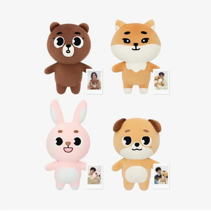 [BUNJANG] Day6 Denimals Giant Plush / 데이식스 자이언트 데니멀즈 방