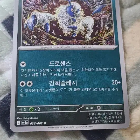 [BUNJANG] Pokémon Card Absol Common 036/062 U / 포켓몬 카드 앱솔 일반 036/062 u