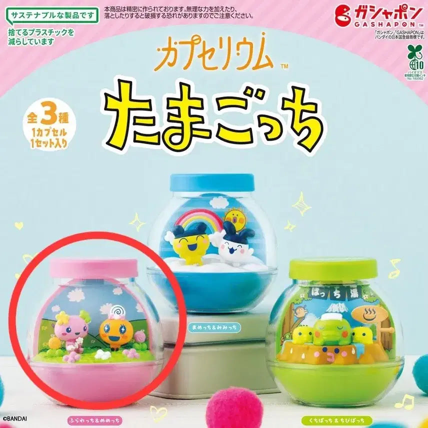 [BUNJANG] Capsuleum Terrarium Flowerchi Memechie Gacha Figure (Sealed) / 무료배송+미개봉 캡슐리움 테라리움 플라워치 메메치 가챠