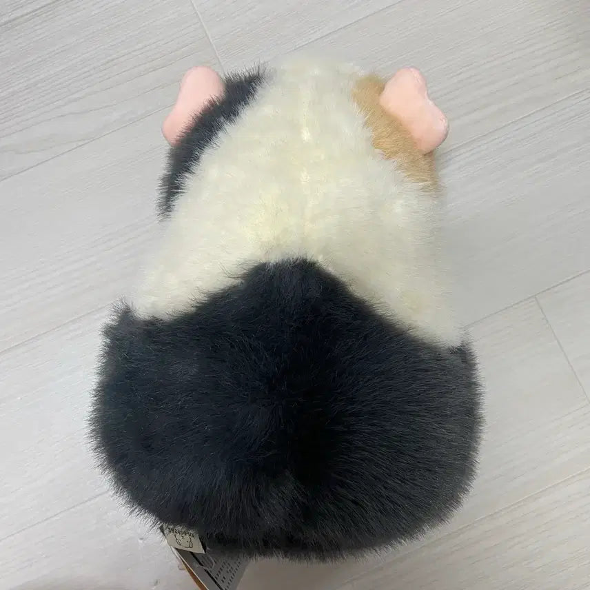 [BUNJANG] Morumo to Sang Guinea Pig Medium Plush Gray 25cm / 모루못토상 기니피그 중형인형 그레이색상 딤그레이 25cm 인형