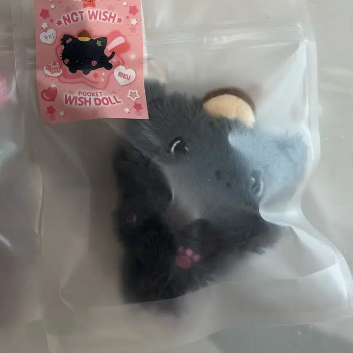 [BUNJANG] NCT WISH Bakery Pop-up Pocketdol WISHDOLL Riku Kuri Sealed / 엔시티 위시 베이커리 팝업 포켓돌 위시돌 리쿠 쿠리 미개봉 양도