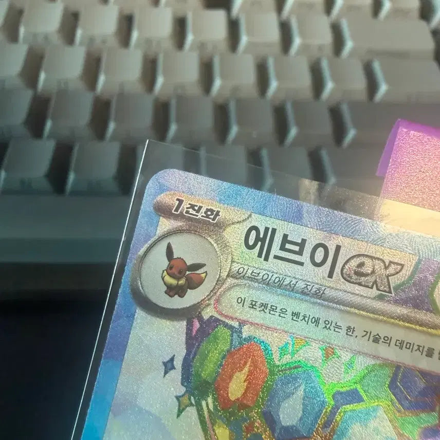 [BUNJANG] Pokemon Card Eevee Promo Card / 포켓몬카드 에브이 프로모카드