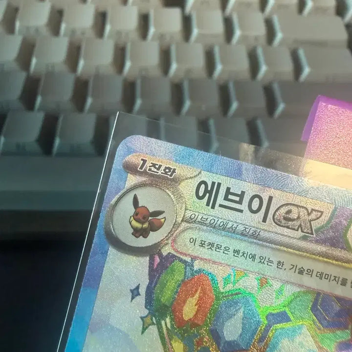 [BUNJANG] Pokemon Card Eevee Promo Card / 포켓몬카드 에브이 프로모카드