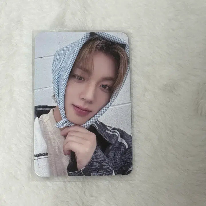 [BUNJANG] Park Ji Hoon Mamute Photocard / 박지훈 마뮤테 포토카트