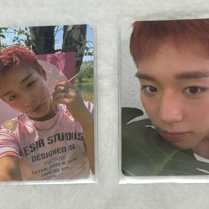 [BUNJANG] Park Ji Hoon Reflect Album Photocard Bundle Set / 박지훈 리플렉트 앨범 포카 일괄