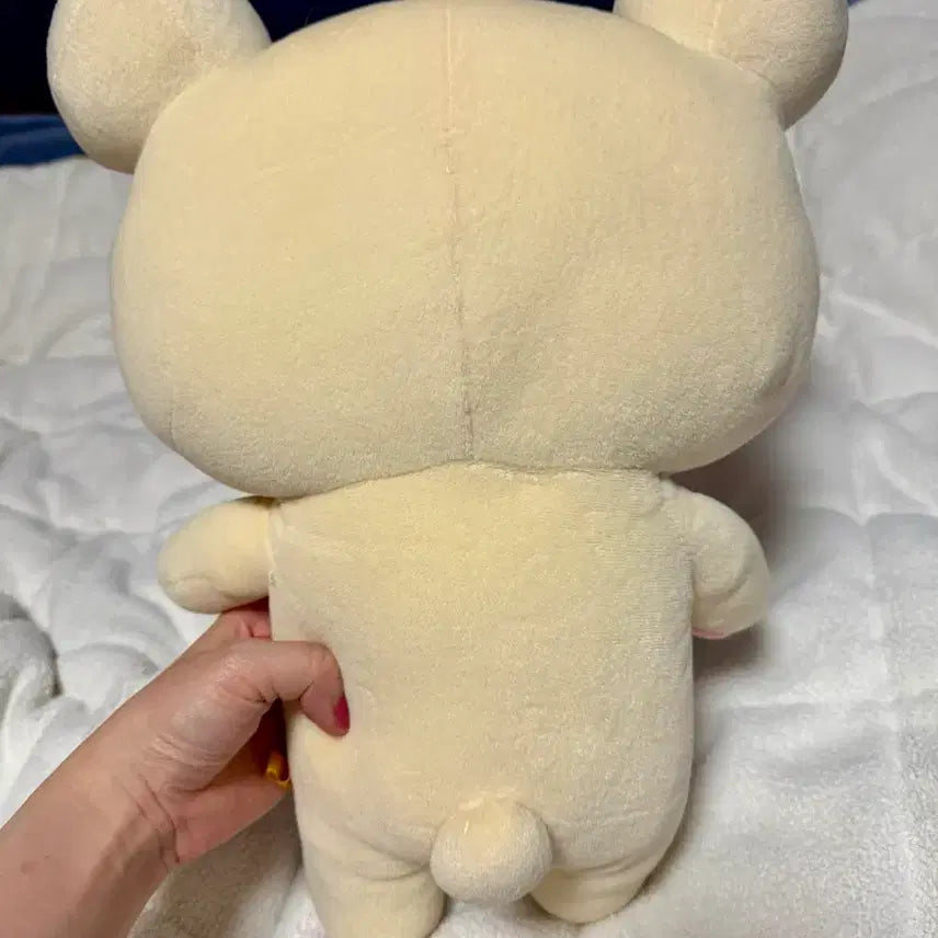 [BUNJANG] Korilakkuma Medium Plush / 코리락쿠마 중형인형