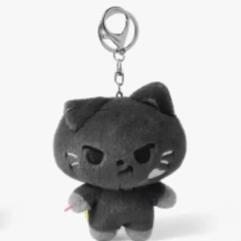 [SOLD OUT] 엔하이픈 제이 녹스타 인형 새제품 양도
