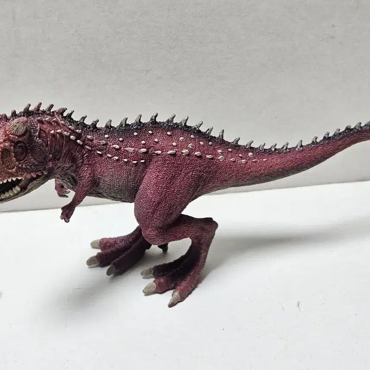 [BUNJANG] Schleich Carnotaurus Dinosaur Figure (2012 Edition) / 슐라이히 카르노타우루스 공룡 피규어 12년판 장난감 고생물
