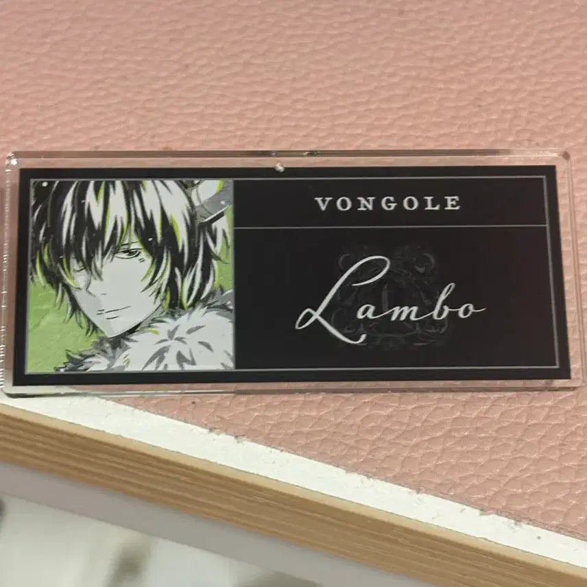 [BUNJANG] Katekyo Hitman Reborn! Rambo Name Tag Badge / 가정교사 히트맨 리본 가히리 람보 명찰 뱃지