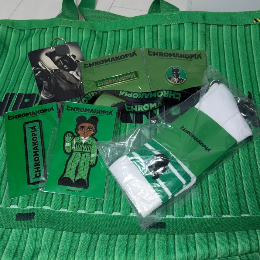 [BUNJANG] Tyler The Creator Chromakopia Concert VIP Merchandise / 타일러 더 크리에이터 크로마코피아 콘서트 vip 머천다이즈