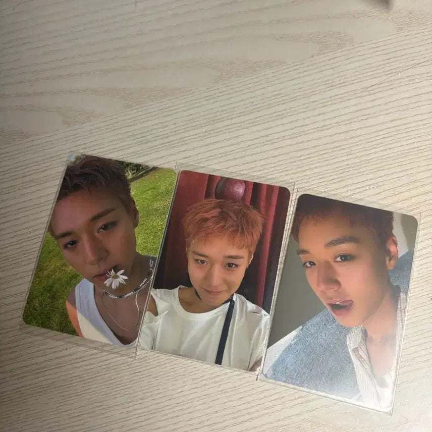 [BUNJANG] Park Jihoon Reflect Apple Petals Photocard Bundle Set / 박지훈 리플랙트 사과 꽃잎 포카 일괄