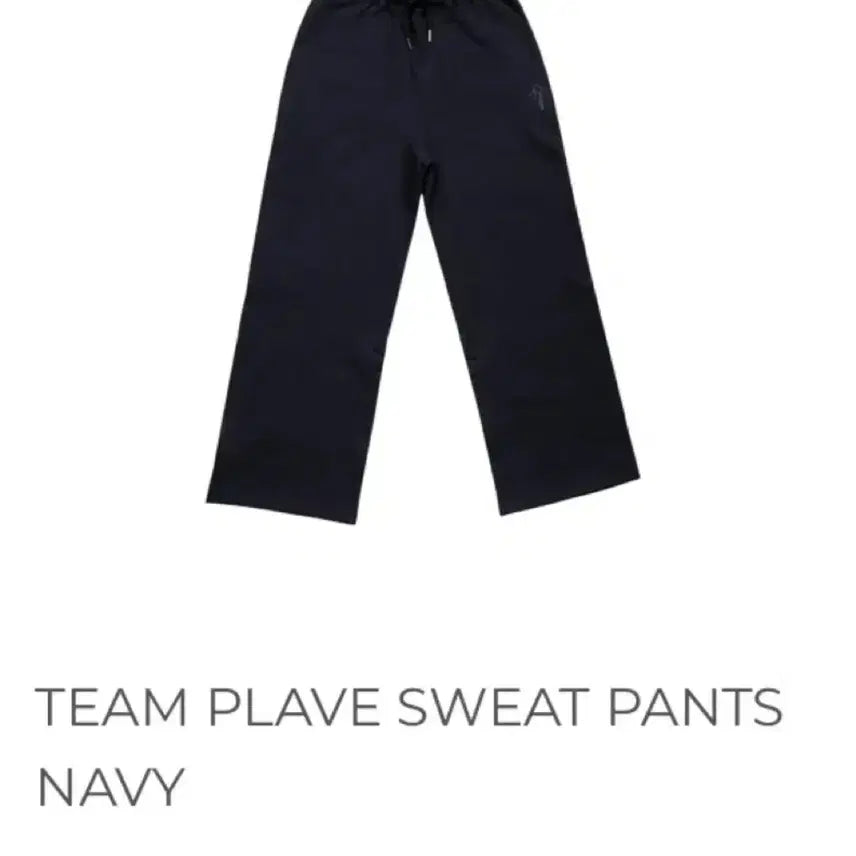 [BUNJANG] Plaive Navy M Trousers / 플레이브 바지 M 네이비 미개봉 원가이하 양도