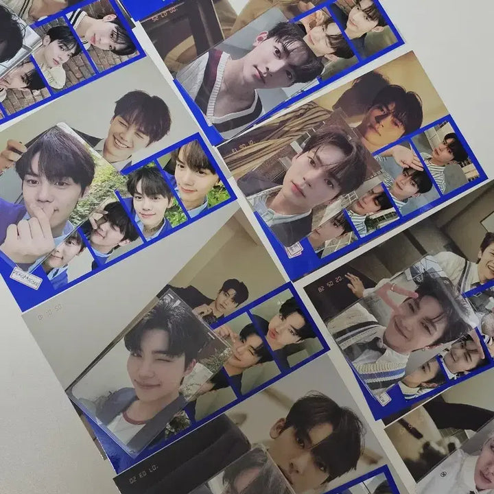 [BUNJANG] ZEROBASEONE Fanclub 1st Gen Kit Sung Hanbin Kim Jiwoong Kim Gyuvin Kim Taerae Park Gunwook / 제베원 제로베이스원 팬클럽 1기 키트 성한빈한유진김지웅장하오리키김규빈김태래박건욱